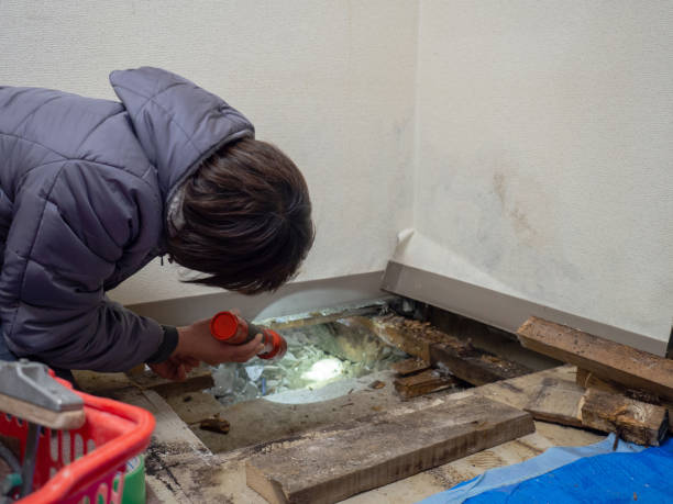 Best Mold Remediation for Vacation Homes  in Unalaska, AK