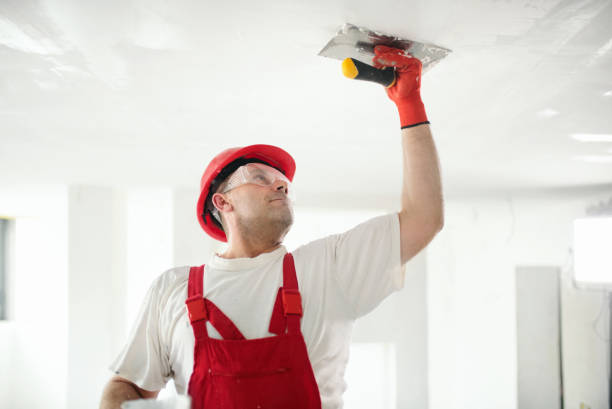 Mold Documentation for Insurance Claims in Unalaska, AK
