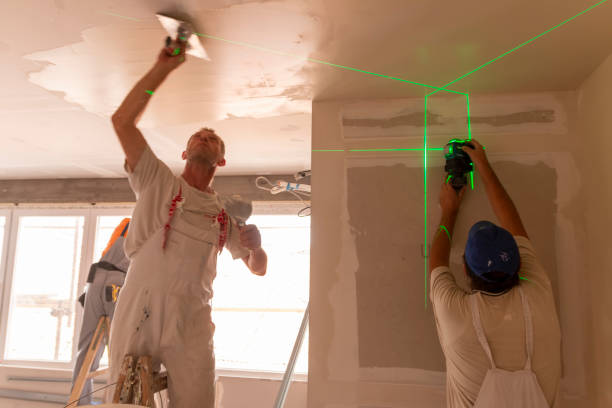 Best Real Estate Mold Inspection  in Unalaska, AK